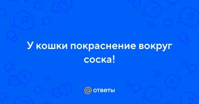 Подготовка к родам | ГВ | онлайн-курсы | Галина Кузнецова on Instagram:  \"💥БЕЛАЯ ТОЧКА, МОЗОЛЬ или «BLEB», но чаще всего это явление характеризуют,  как ЗАКУПОРКУ ПРОТОКА МОЛОЧНОЙ ЖЕЛЕЗЫ. ⠀ 1️⃣ Закупорка -