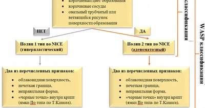 Полип анального канала - причины, симптомы и лечение анального полипа