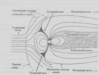 Эндоскопист: кто это и что лечит, методы эндоскопического обследования, как  подготовиться