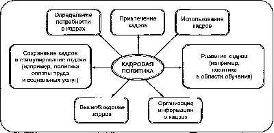 Социальная политика | Учебно-издательский центр БГПУ