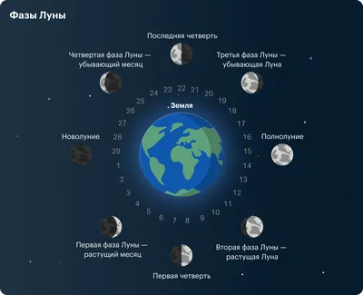 Фотограф «Петербургского дневника» запечатлел осетровое полнолуние