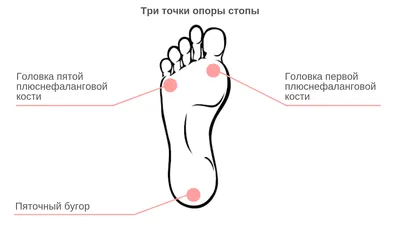 Поперечное плоскостопие — это процесс уплощения поперечного свода стопы,  которое в дальнейшем приводит к деформированию пальцев.… | Instagram