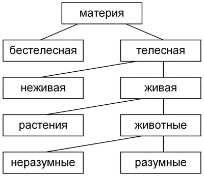 File:Дерево Порфирия.png - Wikimedia Commons