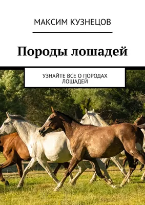 МСХ заинтересован в сохранении казахской породы лошадей спортивного  направления