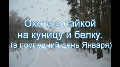 Последний день месяца 31 31-ое января Стоковое Фото - иллюстрации  насчитывающей июль, график: 198601988