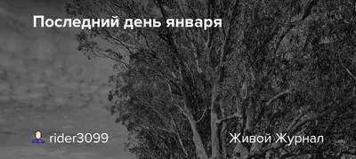 Последний день января в Брянской области будет малоснежным и теплым •  БрянскНОВОСТИ.RU