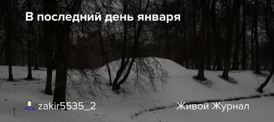 Как выглядит «Дубовка» в Запорожье в последний день января (ФОТО, ВИДЕО) |  Портал Акцент