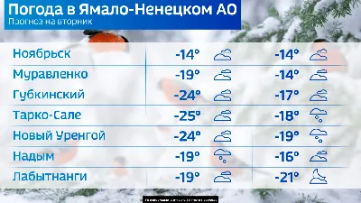 В Свердловской области потеплеет до нуля в последний день января |  Уральский меридиан