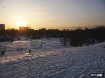 В последний день января в Курске пройдет небольшой снег