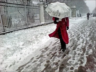 Погода в Салехарде: последний день января будет холодным и пасмурным –  Новости Салехарда и ЯНАО – Вести. Ямал. Актуальные новости Ямала