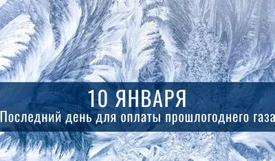 Прогноз погоды на 31 января 2020 года в Санкт-Петербурге: гололедица и  небольшой снег - KP.RU