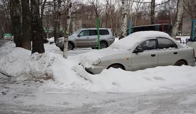 Сегодня в Хабаровске ясный день