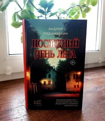 Книга «Последний день лета» Андрея Подшибякина про Ростов и монстра.  Рецензия