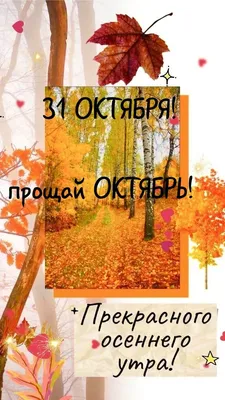 Пин от пользователя Наталья на доске осень | Открытки, 31 октября, Осенние  картинки