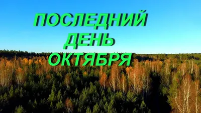 Последний день октября .последний …» — создано в Шедевруме