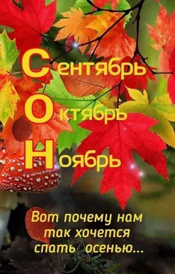 всё обо всём - - Доброе утро! - Ещё денёк, друзья – Октябрь! Уж, на пороге  - старший брат, Спешит, торопится Ноябрь, Сменить братишку очень рад! Ну,  что поделать? Да, уходит, Несётся