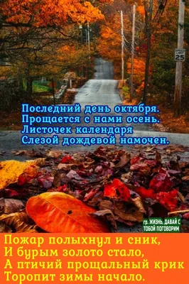 Прогноз погоды на последний день октября: преимущественно без осадков -  АЗЕРТАДЖ