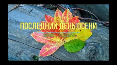 УШЛИ В ПОСЛЕДНИЙ ДЕНЬ ОСЕНИ.|Знаменитости, умершие 30 ноября - YouTube