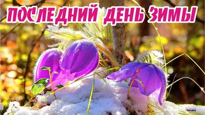 Открытка 28 февраля последний день зимы! | Открытки, Картинки, Фотографии  для мотивации