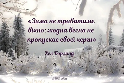 Радостные поздравления и открытки на Последний день зимы 28 февраля |  Курьер.Среда | Дзен