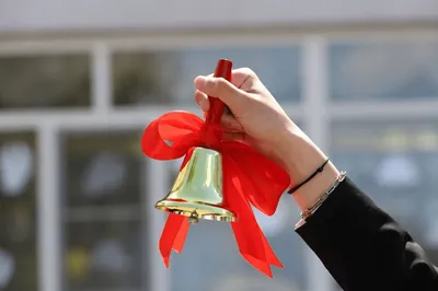 Последний звонок прошёл в мытищинских школах / Новости / Городской округ  Мытищи