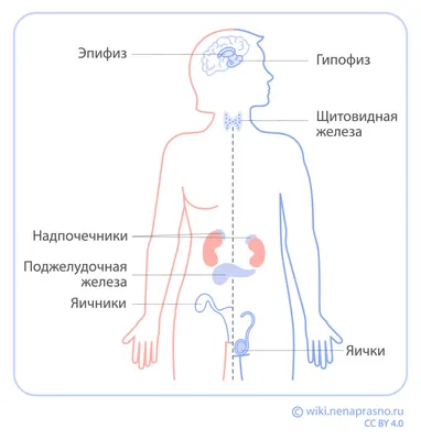 Последствия химиотерапии