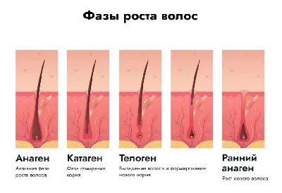 Биоревитализация в Санкт-Петербурге недорого | Центр лазерной эпиляции