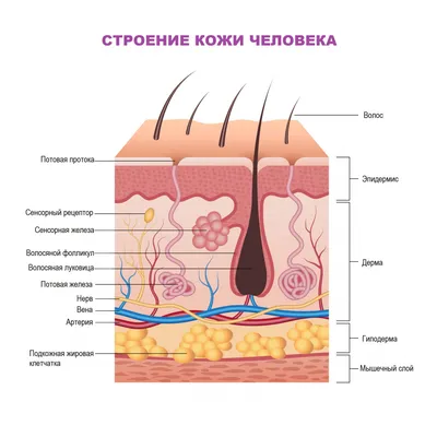 Как избавиться от потницы у новорожденного ребенка летом