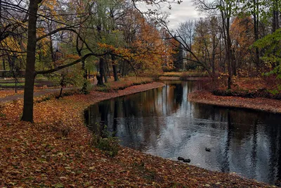 Поздняя осень. — конкурс \"Тревожный пейзаж\" — Фотоконкурс.ру