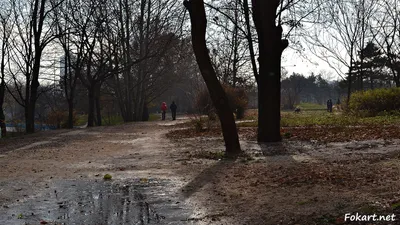 Жизнь природа поздняя осень, красиво…» — создано в Шедевруме