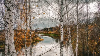 Поздняя осень, автор Февралёв Евгений Евгеньевич