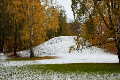 поздняя осень утро фото | Landscape, Nature, Landscape photos