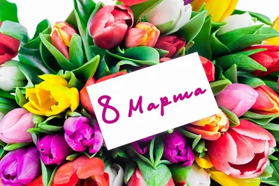 Поздравление с 8 марта!!! – ГБУ ВО \"Волгоградская облветлаборатория\"