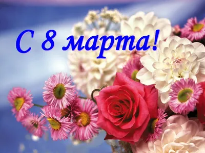 Reville - Поздравляем всех Женщин с 8 Марта! 🌷🌷🌷🌷🌷🌷🌷🌷... | Facebook