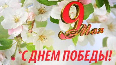 Стихи и поздравления на 9 мая