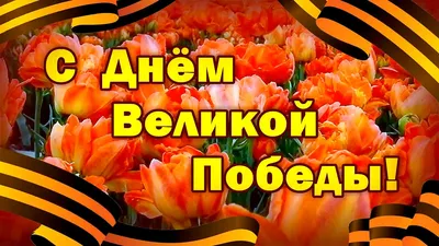 Поздравление с 9 мая | Официальный сайт администрации Катунинского МО