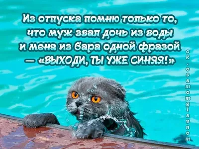 Союз Профессионалов Дистанционного Обучения | Коллеги как же так, ни одного  поздравления, ну это то же День Знаний | Facebook