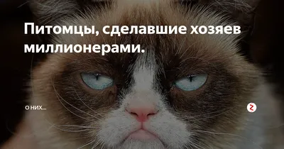 Поздравления с выходом на работу - после отпуска и на новую работу — УНИАН