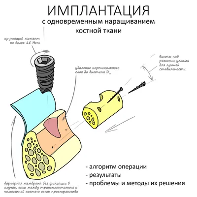 Пенсионный фонд информирует - Управление социальной защиты населения  Администрации Белгородского района