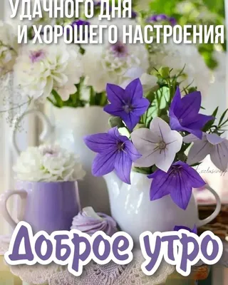 Красивые картинки Доброе утро ☀️☕ (618 шт.)