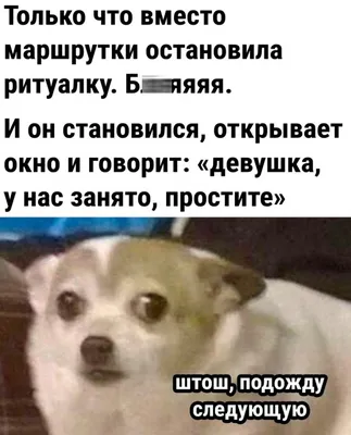 Прамень - Гимназия №1 имени академика Е.Ф. Карского г.Гродно