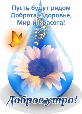 Доброе утро! Пусть рядом будут доброта, здоровье, мир и красота!!! 🌷🦋💐 |  Доброе утро, Утренние сообщения, Позитивные цитаты