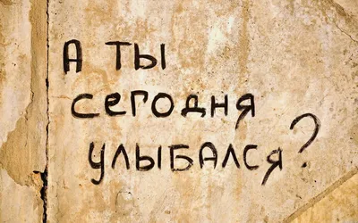 Счастье, как образ жизни on Instagram: “Аффирмация дня 💓 Наш позитивный  настрой формирует нашу жизн… | Мотивирующие цитаты, Позитивные цитаты,  Мотивационные цитаты