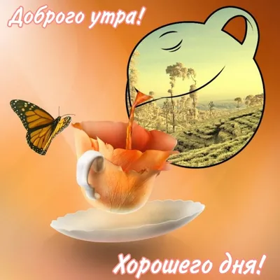 💗☕️🌷Доброе Утро! Хорошего Дня! Заряд Позитива на Весь День!💞 - YouTube