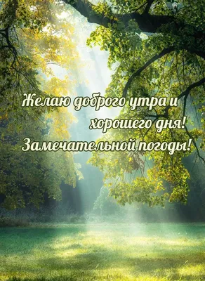 Пин от пользователя Лариса Волкова на доске Доброе утро | Позитивные  цитаты, Цитаты о чудесах, Лучшие цитаты