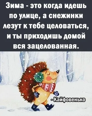 Смешные фото приколы на выходные