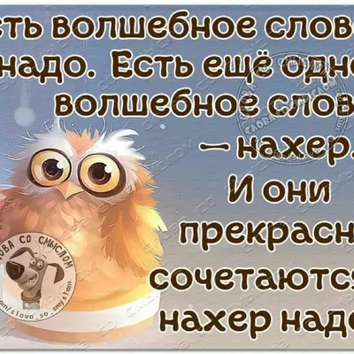 Пишем позитивно и с юмором: как быть, если вы не стендапер | Вика  Кривенцева | Дзен