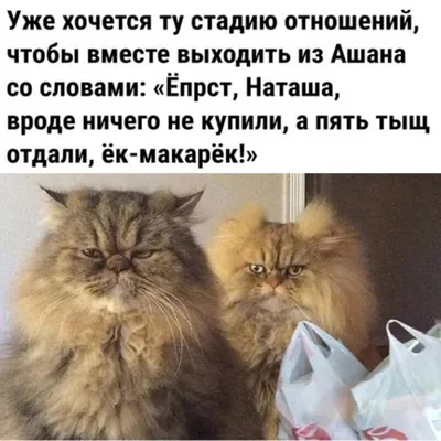 Смешные позитивные картинки