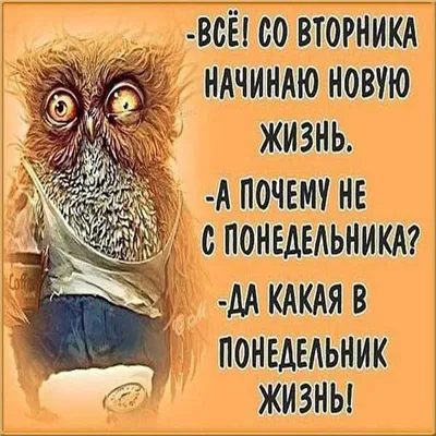 ПОЗИТИВНЫЕ СЕМЕЙНЫЕ ВЗАИМООТНОШЕНИЯ С ПОДРОСТКОМ: МИФ ИЛИ РЕАЛЬНОСТЬ? -  \"ФЕНИКС\" Школьная карта