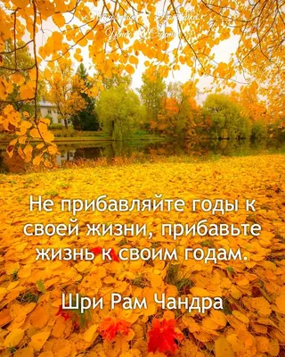 Позитивные статусы в картинках 😄для поднятия настроения